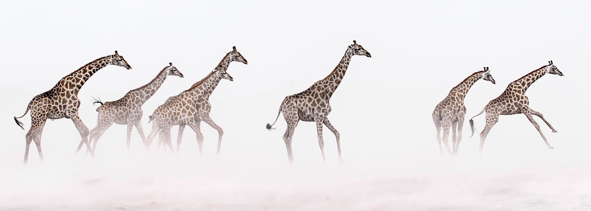 Etosha National Park, Namibia by Chris Reekie