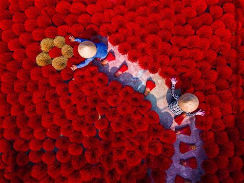 'Rhapsody in Red' by Betül Şimşek