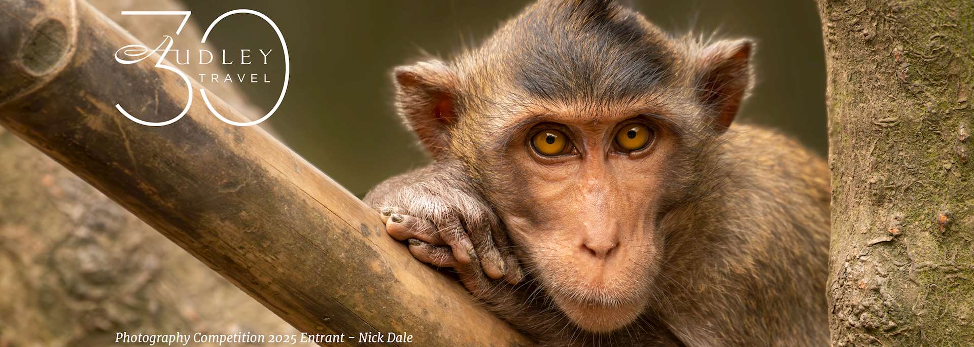 Photography competition 2025 — entrant from Nick Dale