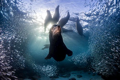 My Kingdom, Mexico, by Simon Biddie