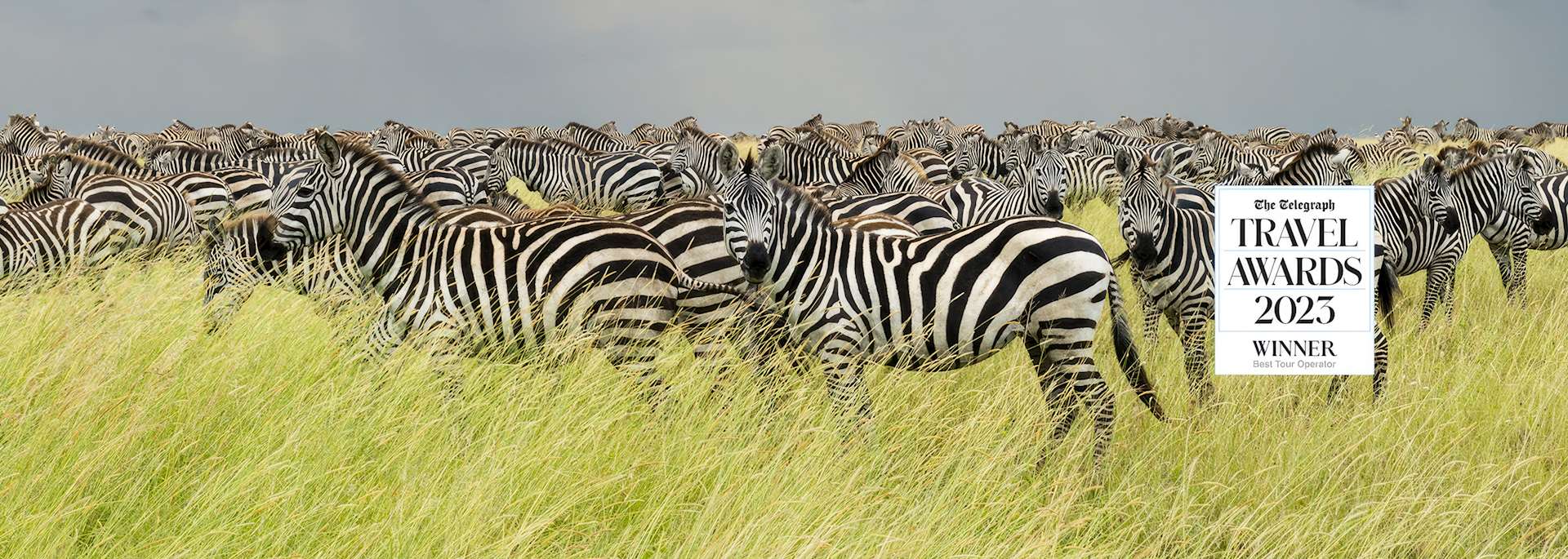 Telegraph Travel Awards Logo on image of zebra in the Serengeti