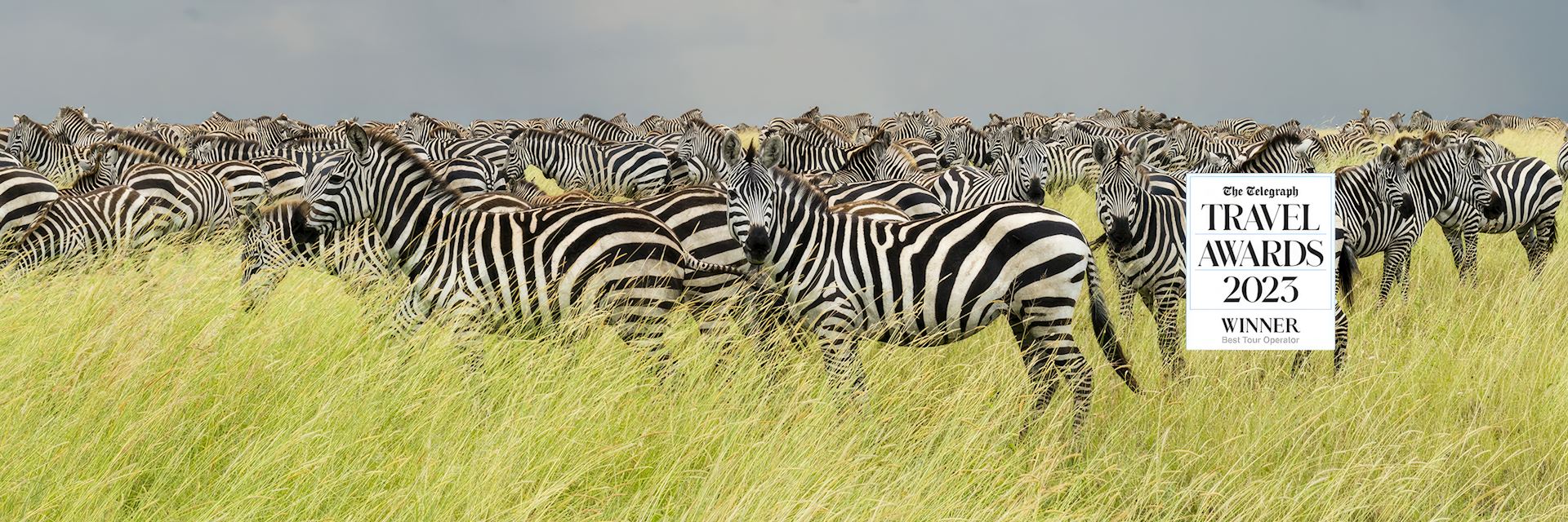 Telegraph Travel Awards Logo on image of zebra in the Serengeti