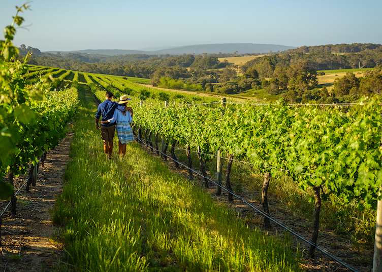 Wills Domain, Margaret River, Western Australia — © Tourism Western Australia