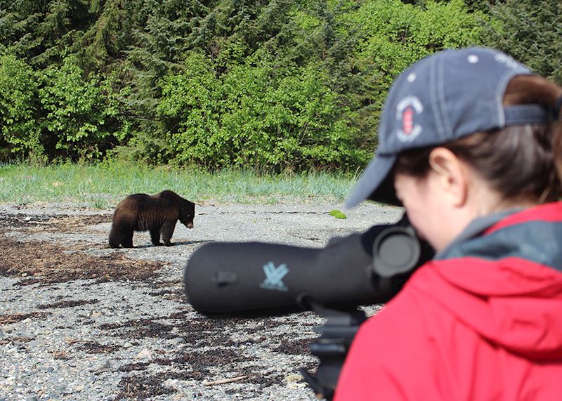 Photographing a black bear