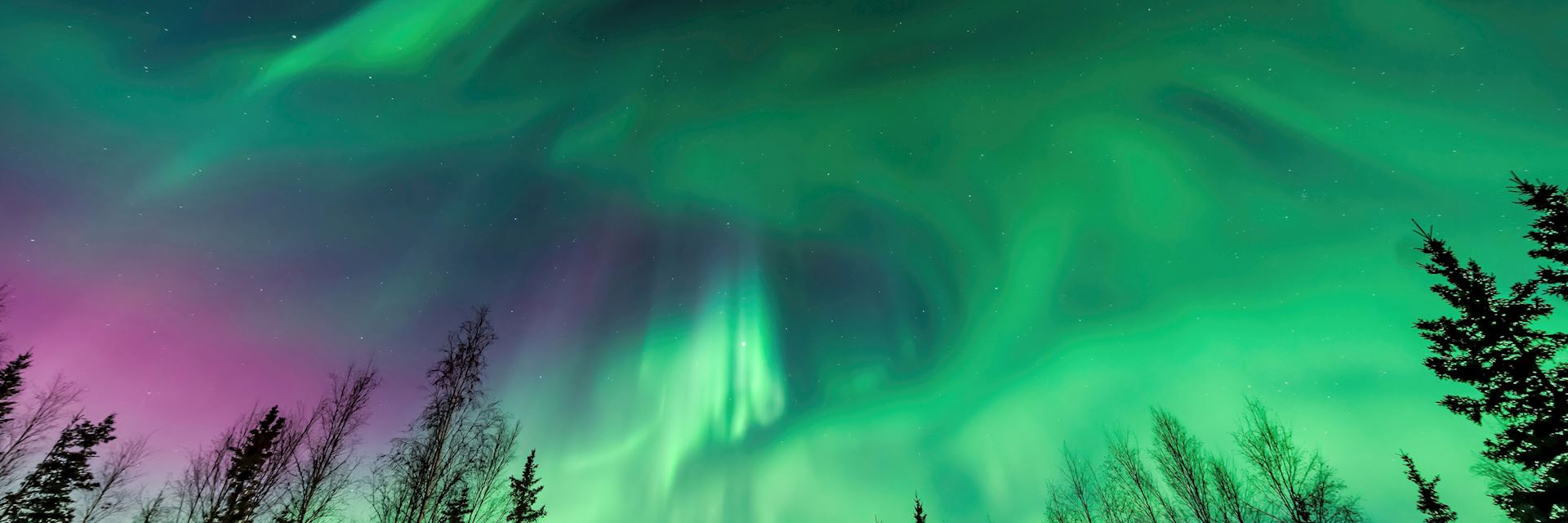 Northern lights over Fairbanks