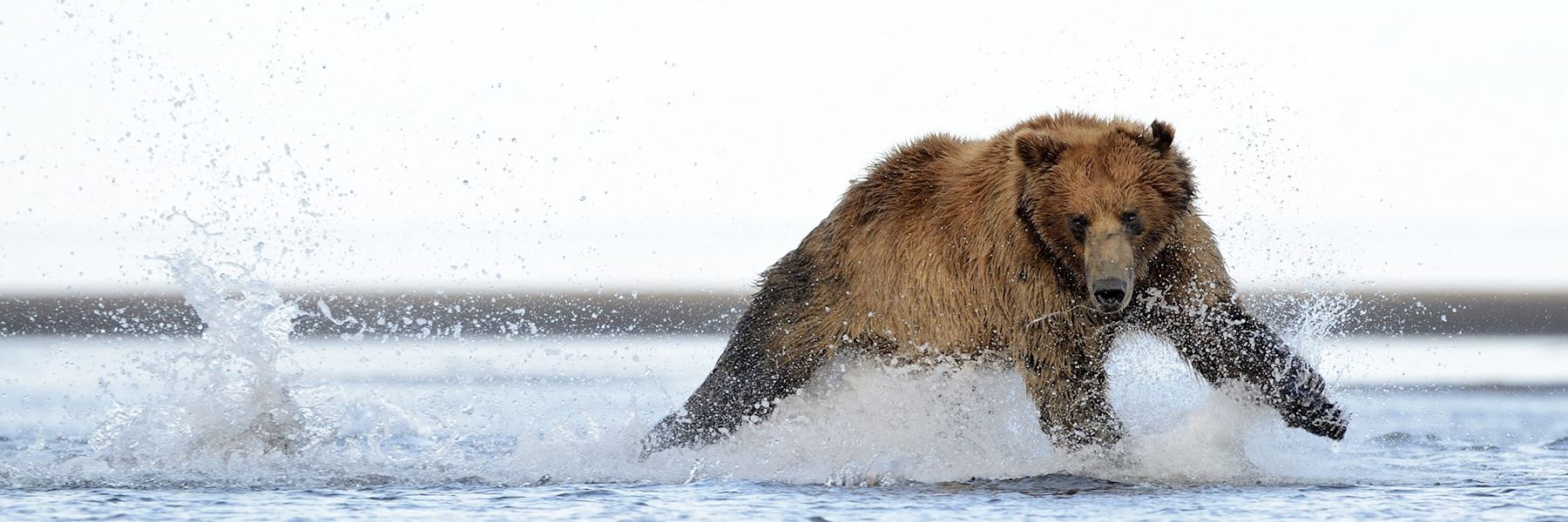 Alaska Holidays TailorMade Alaska Tours Audley Travel