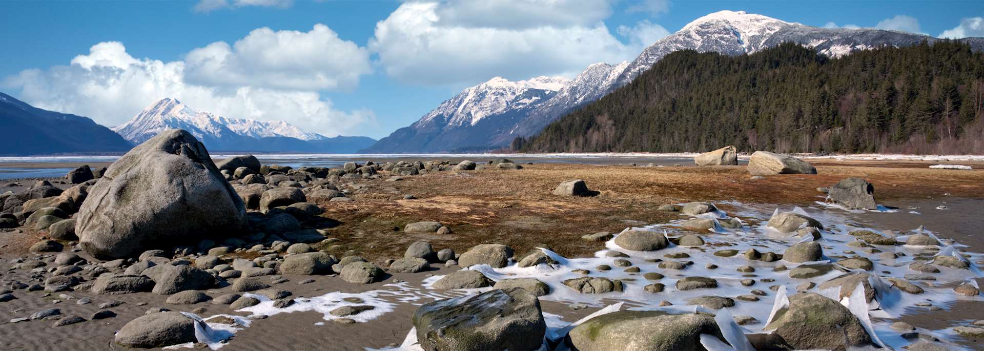 Chilkat Estuary, Haines