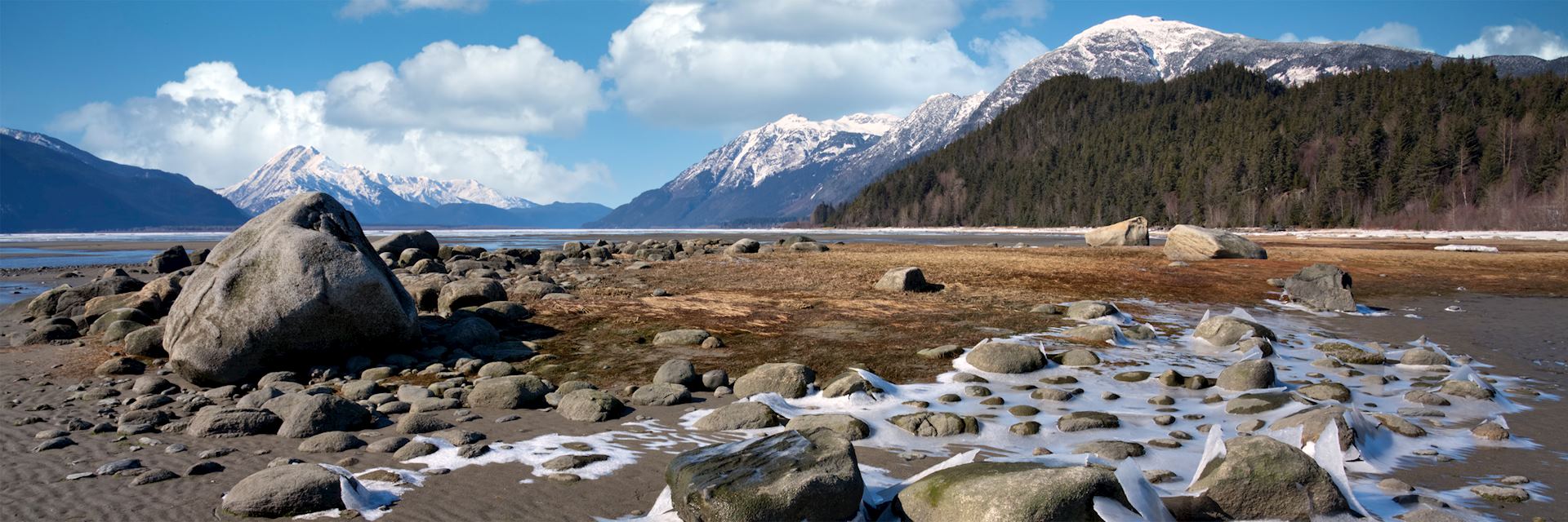 Chilkat Estuary, Haines