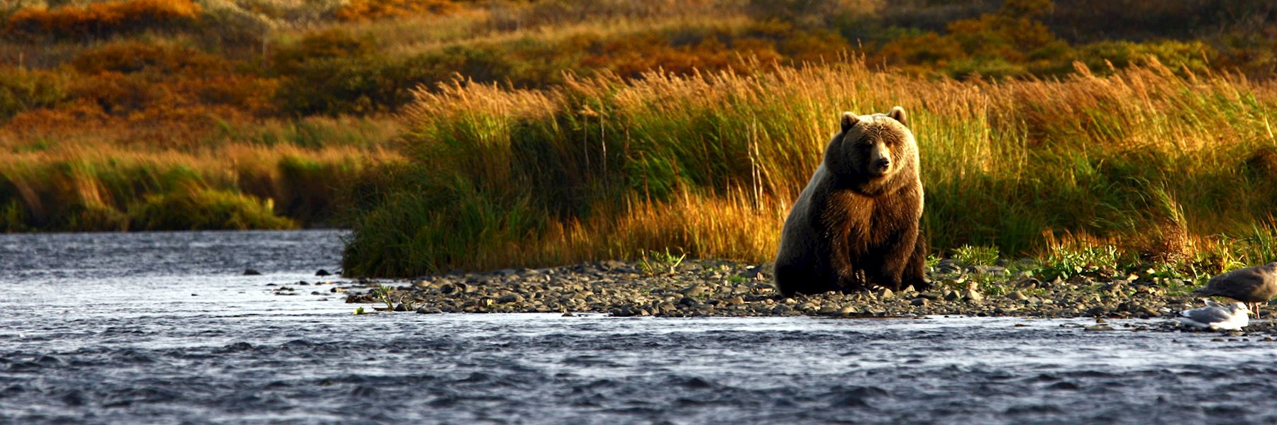 Visit Kodiak Island on a trip to Alaska Audley Travel