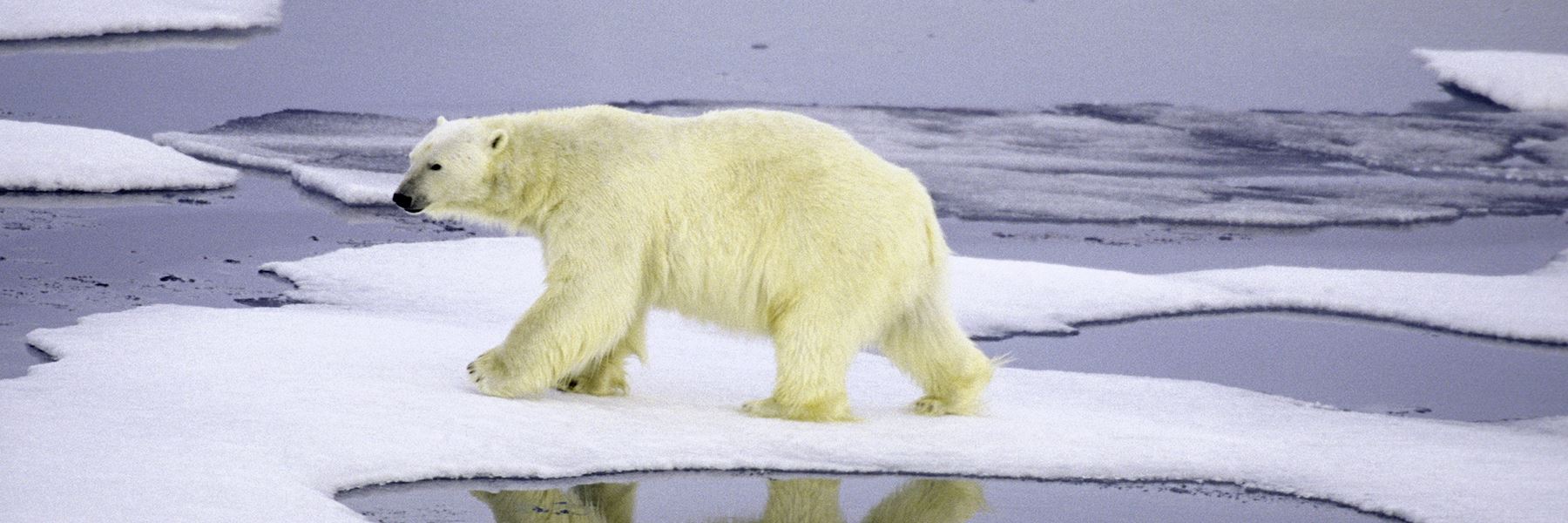 Visit Barrow on a trip to Alaska Audley Travel