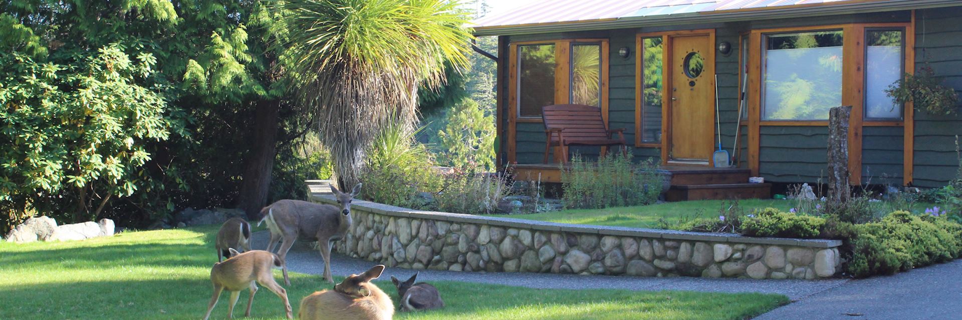 Bostrom's B&B
