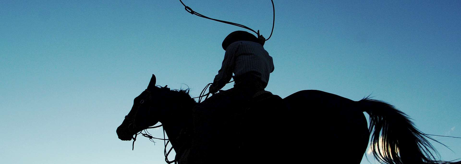 Cowboy, Calgary