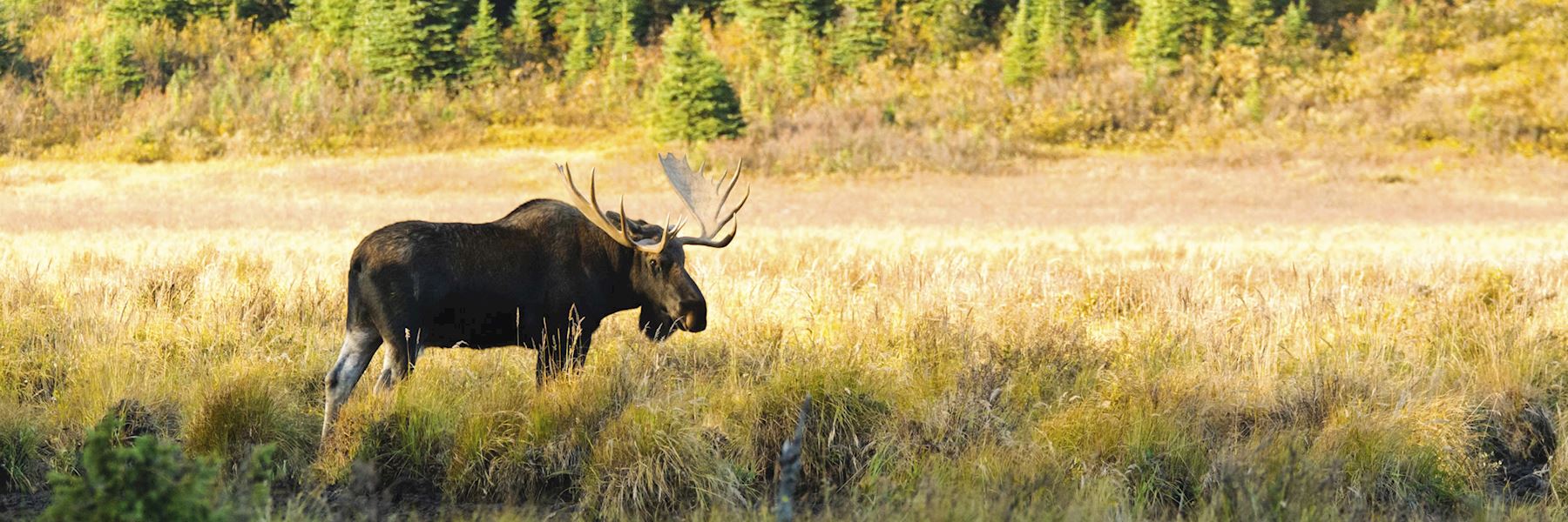 Best Time To Visit Canada Climate Guide Audley Travel