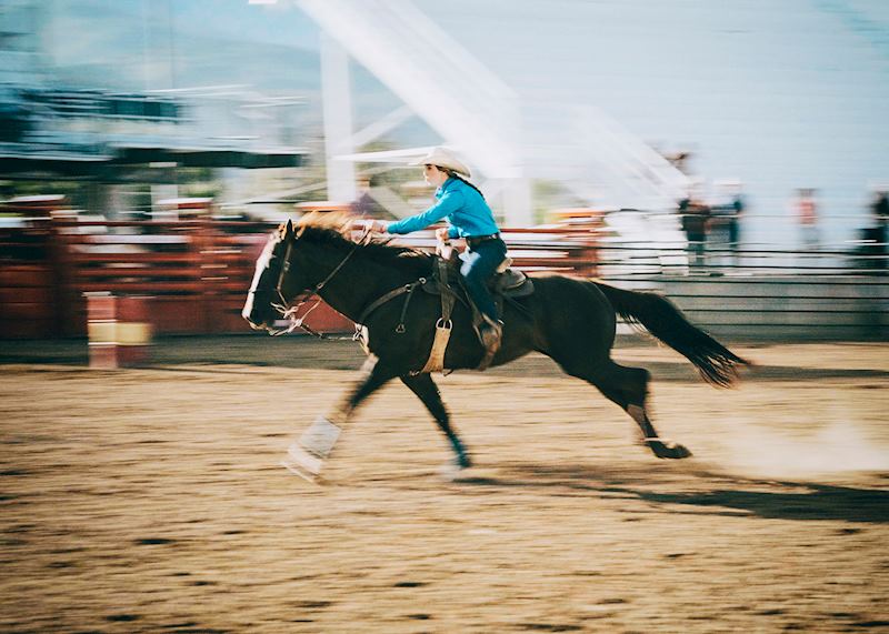 Rodeo rider