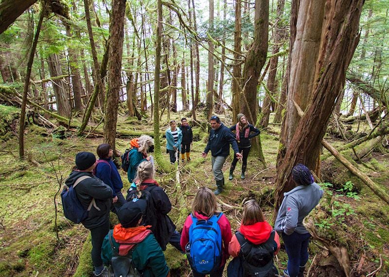 Ocean House forest walk, Haida Gwaii, British Columbia