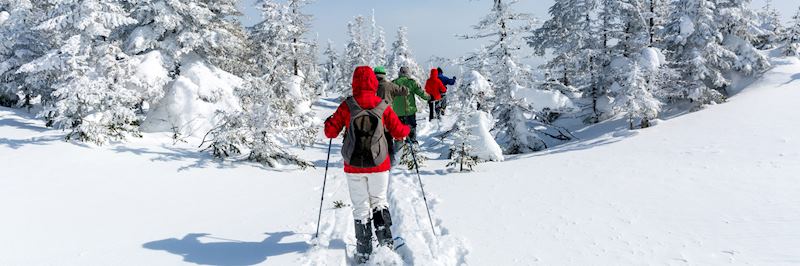 Snowshoeing guided tour