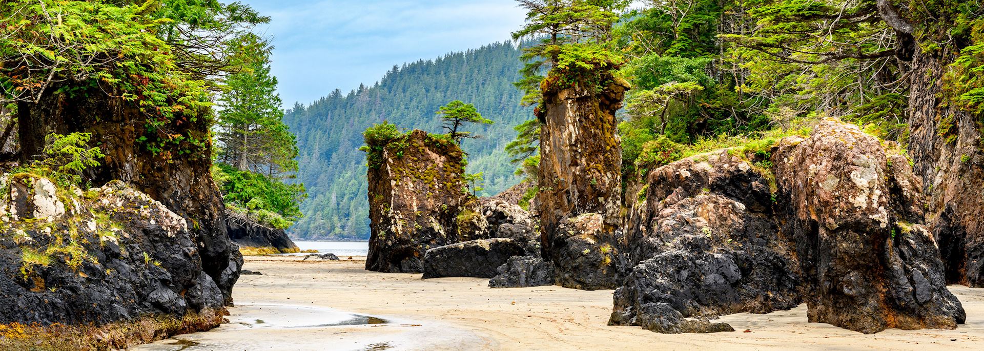 San Josef Bay, Port Hardy