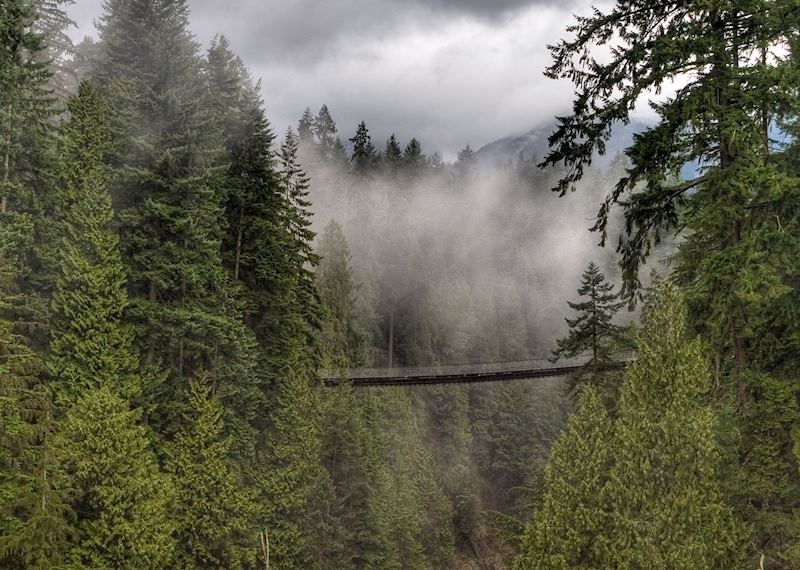 Capilano Suspension Bridge Park
