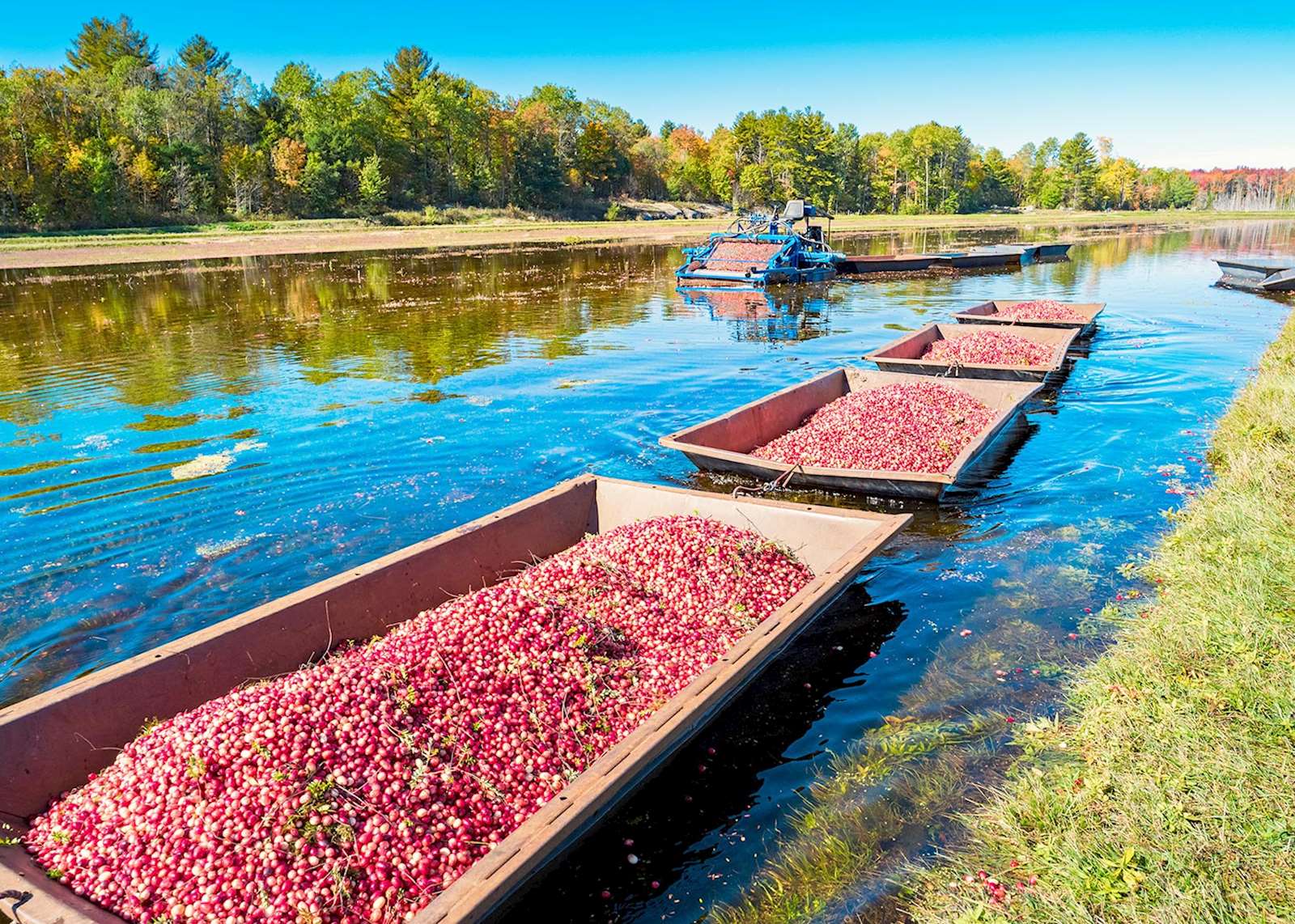 Ontario vacation highlights Travel guide Audley Travel US