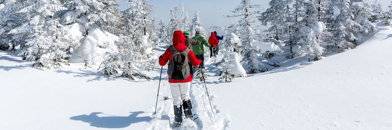 Snowshoeing in Canada