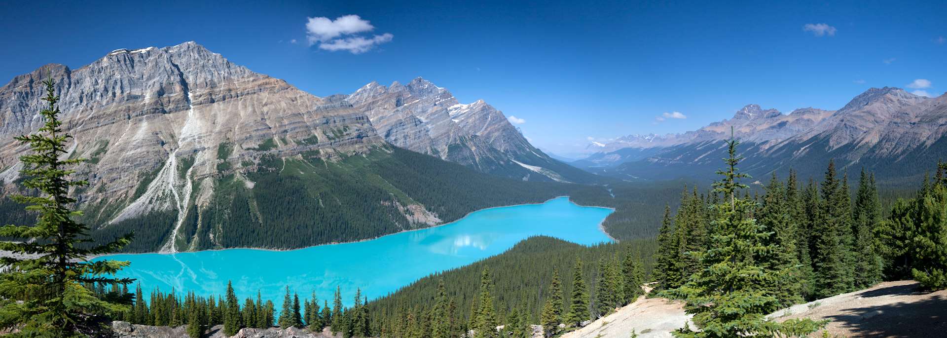 Peyto Lake, Banff National Park