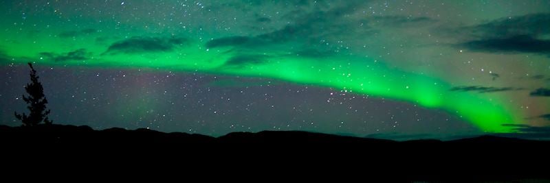 Northern Lights in Whitehorse