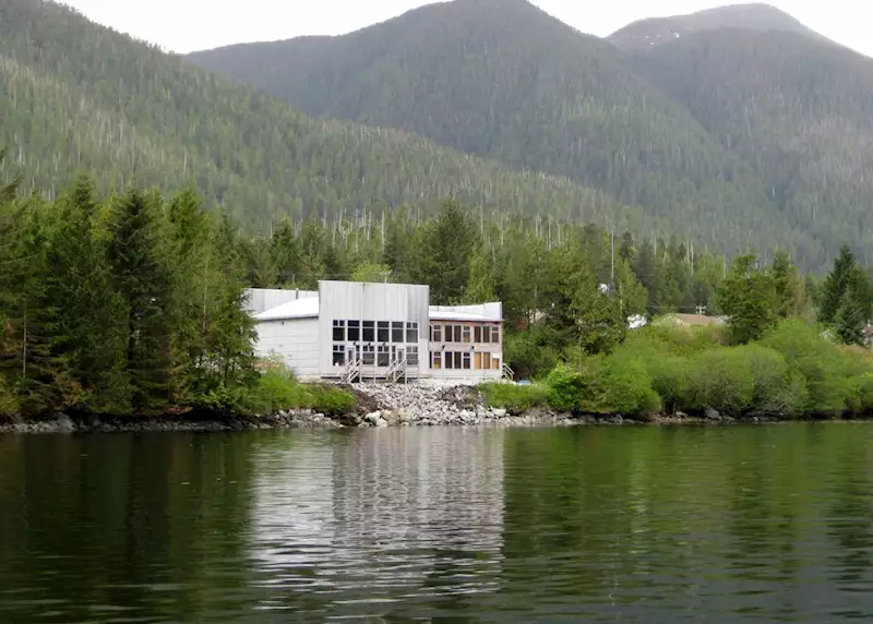 Bear Watching In Canada Travel Guide Audley Travel