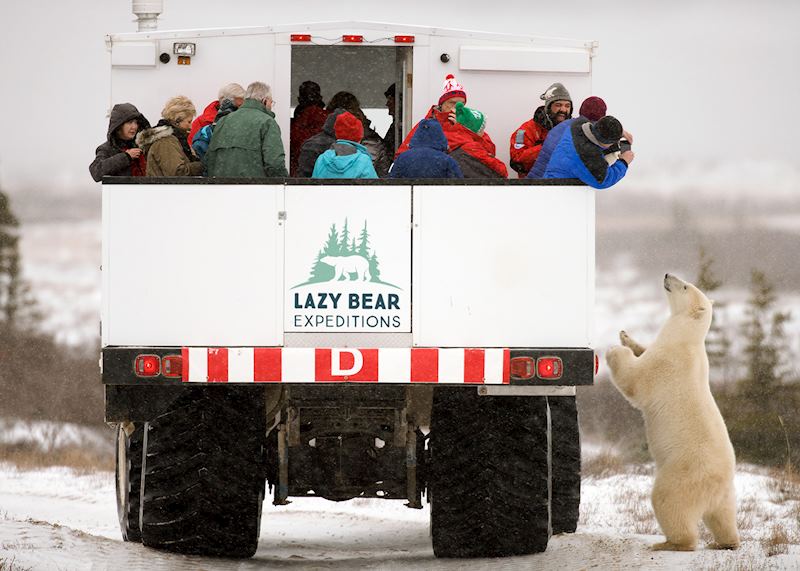 Tundra vehicle trip from Lazy Bear Lodge