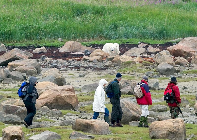 Polar bear walking safari from Seal River Heritage Lodge