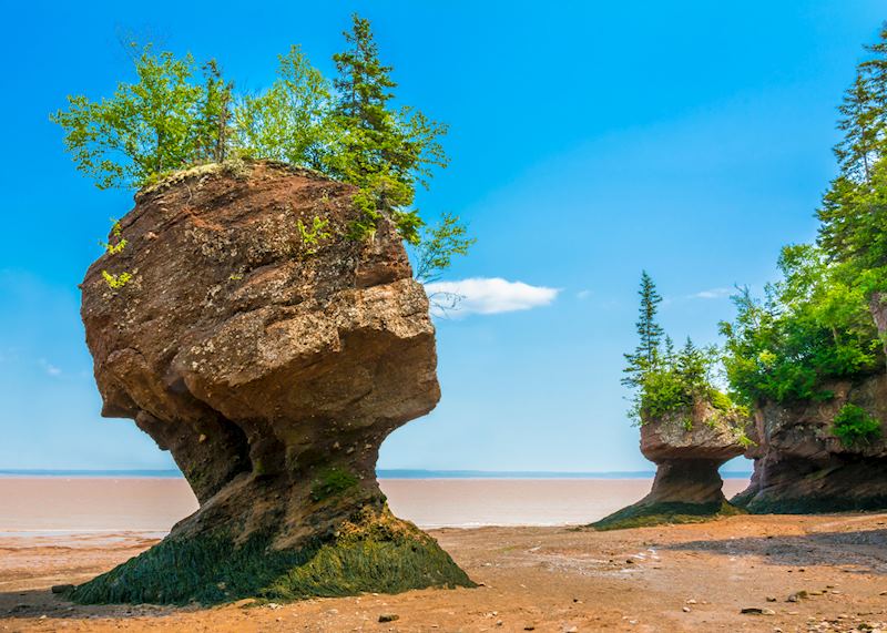 One of the freestanding sea stacks of Hopewell Rocks