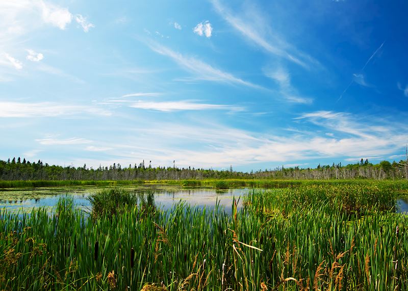 Kouchibouguac National Park, New Brunswick