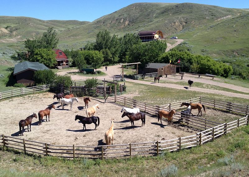 La Reata Ranch, Saskatchewan