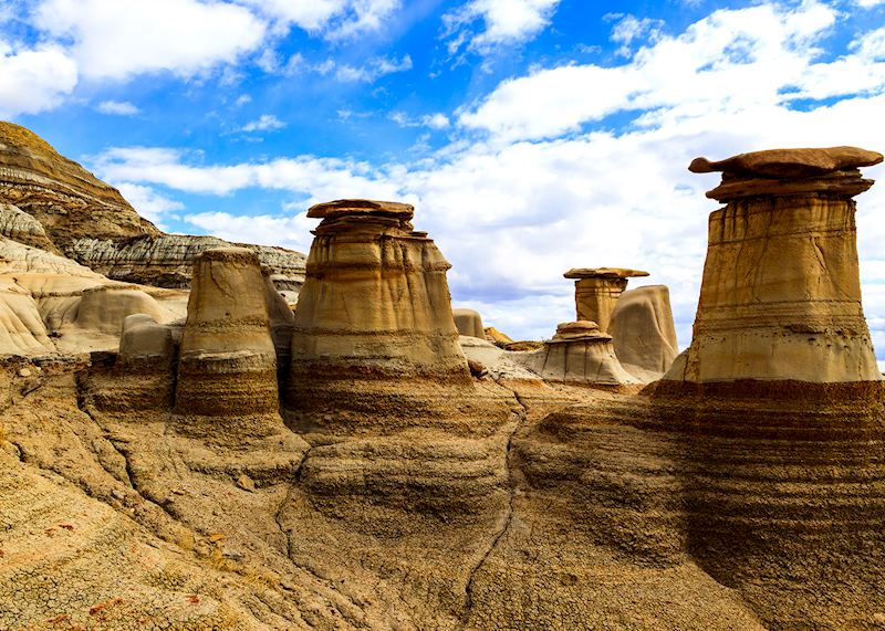 Dinosaur Provincial Park, Alberta
