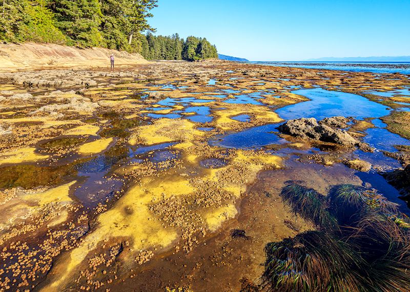 Botanical Beach, Port Renfrew