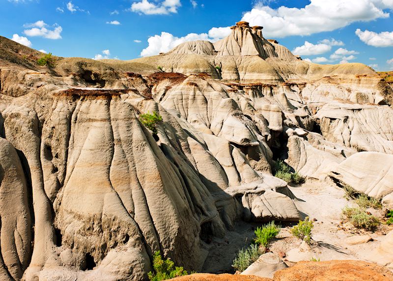 Dinosaur Provincial Park, the Badlands