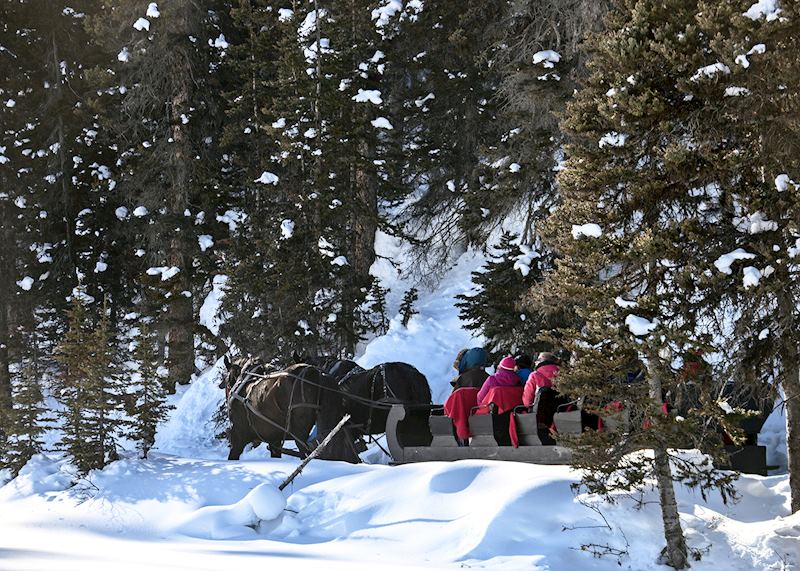 Sleigh ride, Lake Louise