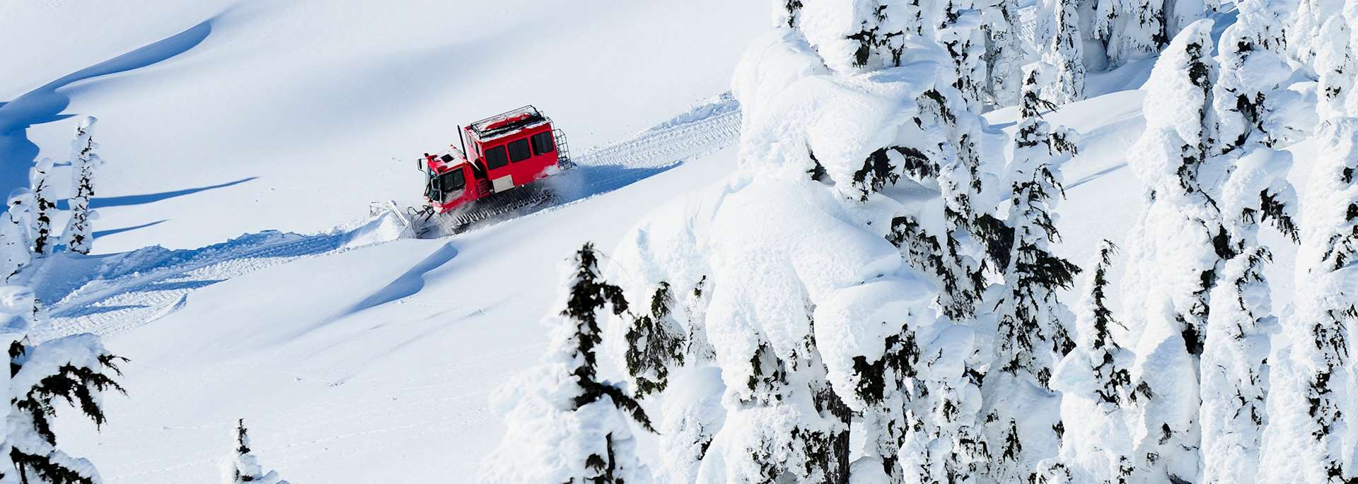 Snowcat in British Columbia