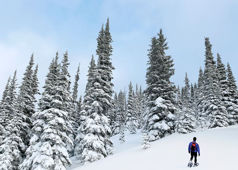 The Medicine Trail, Whistler