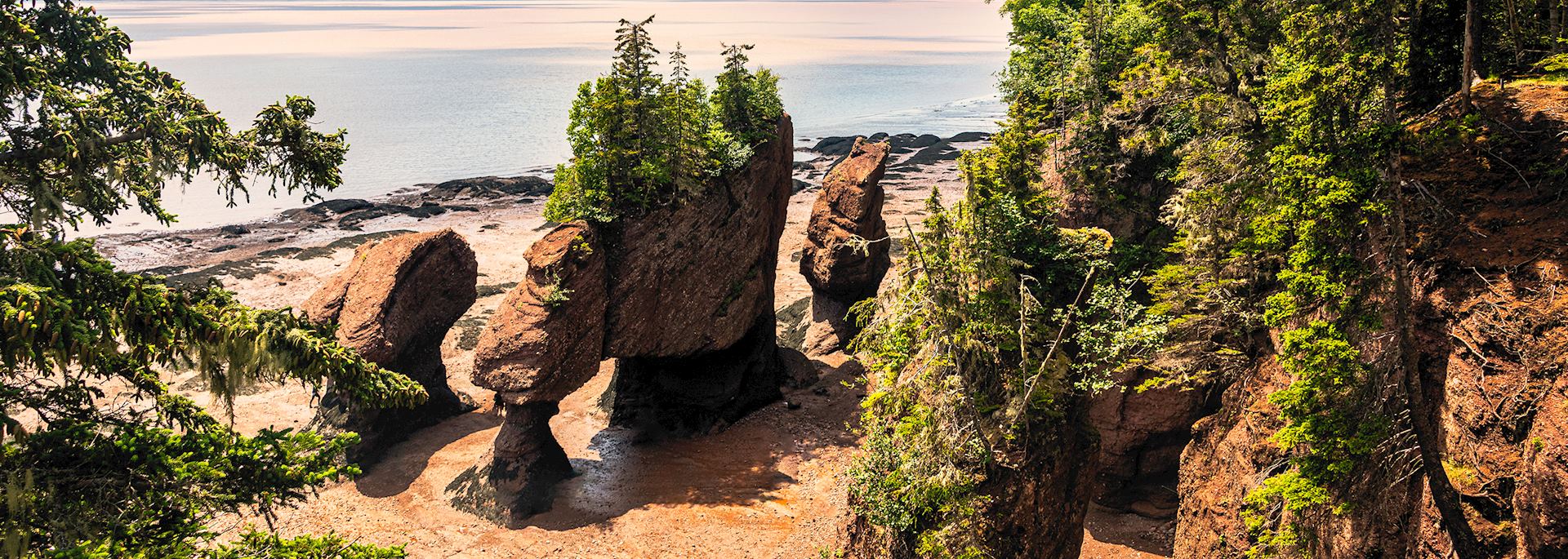 Hopewell Rocks, Bay of Fundy, New Brunswick