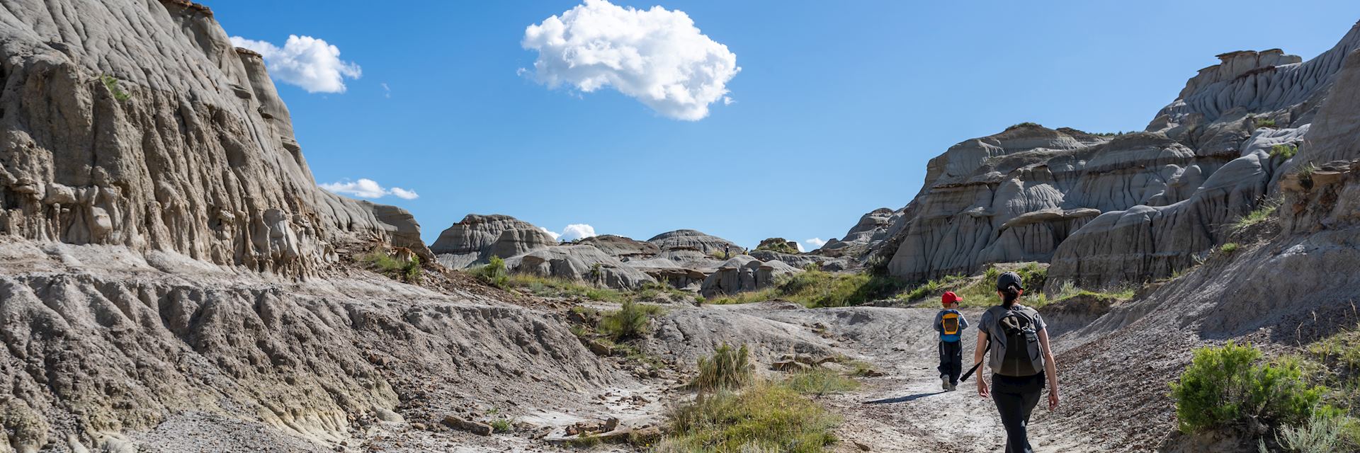 Dinosaur Provincial Park