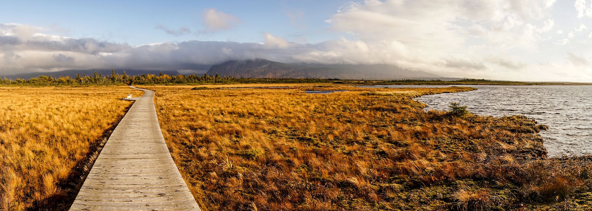 Hiking trail in Gros Morne National Park