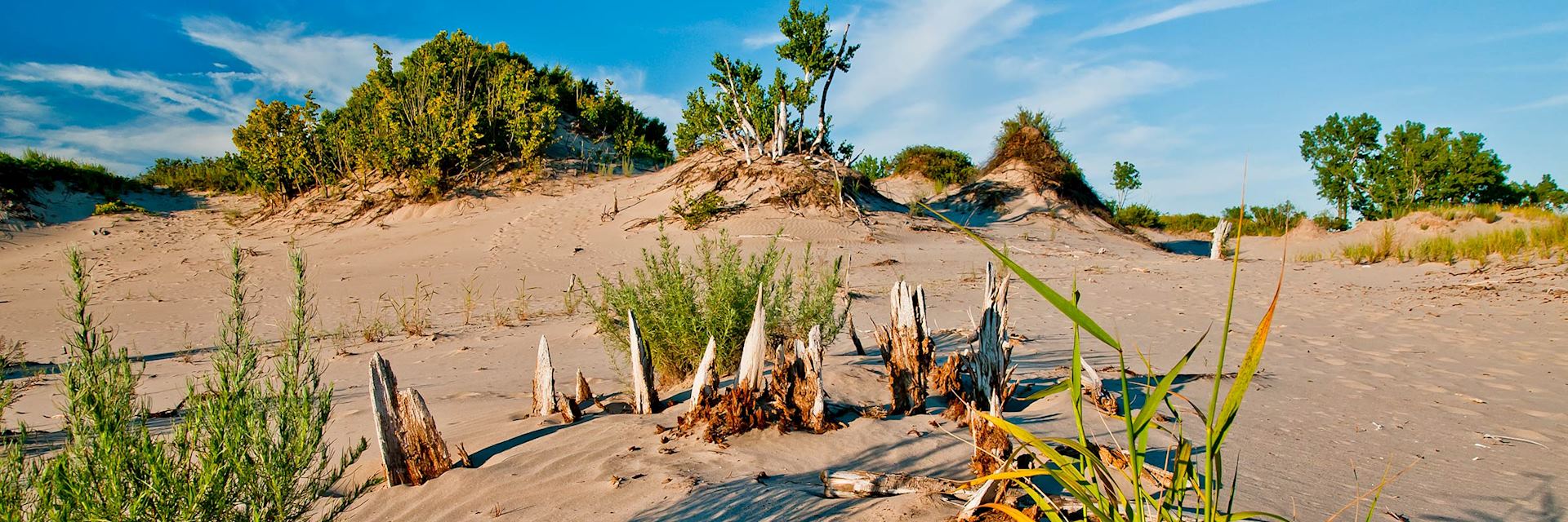 Sand dunes in Prince Edward County