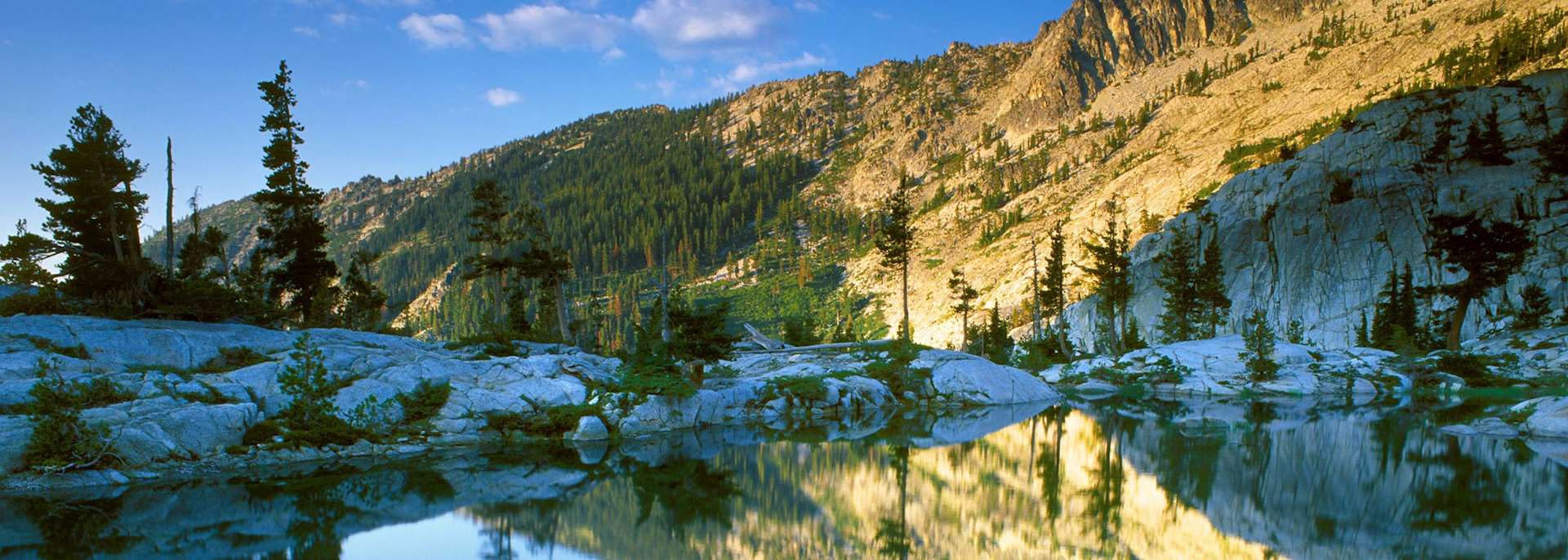 The Cariboo