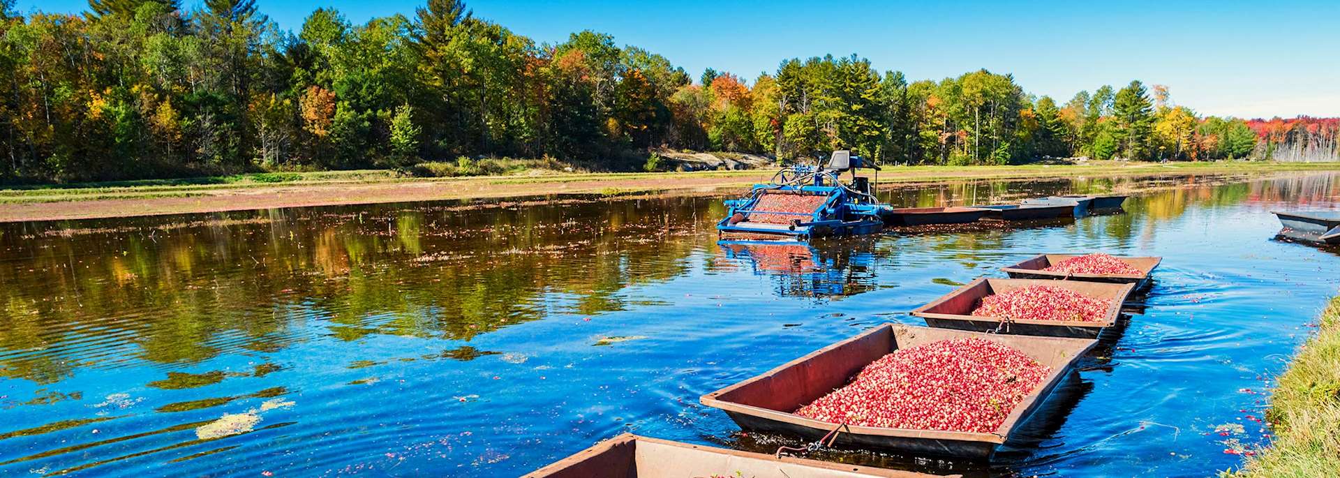 Muskoka, Ontario