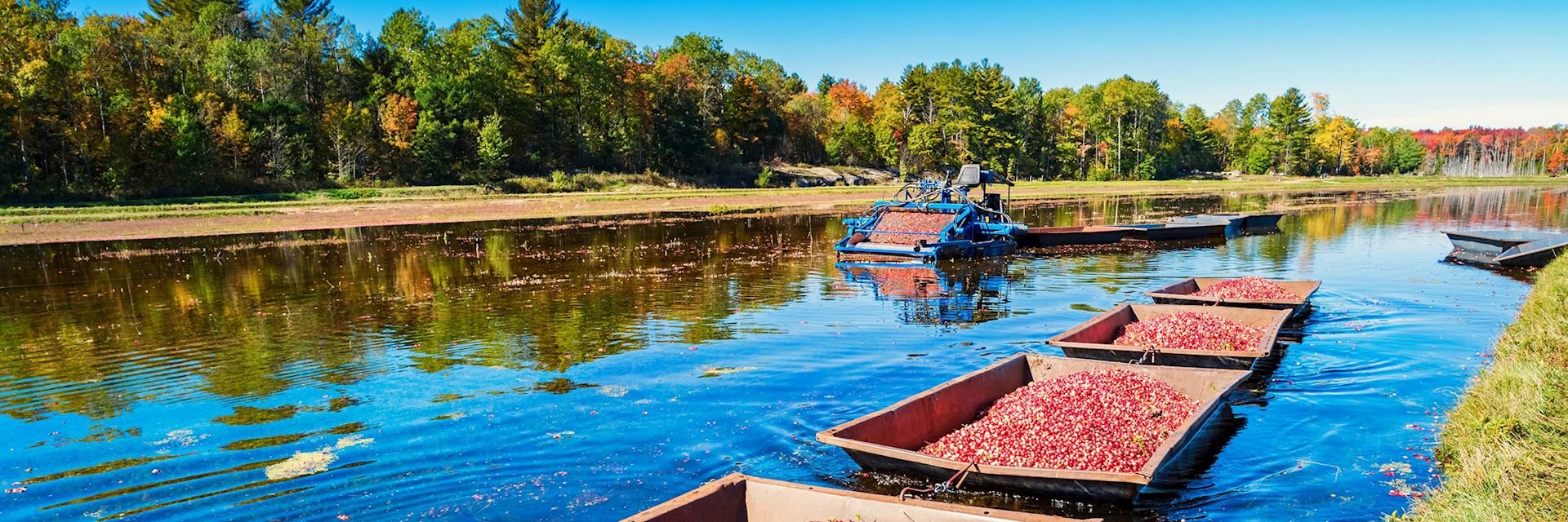 Muskoka, Ontario