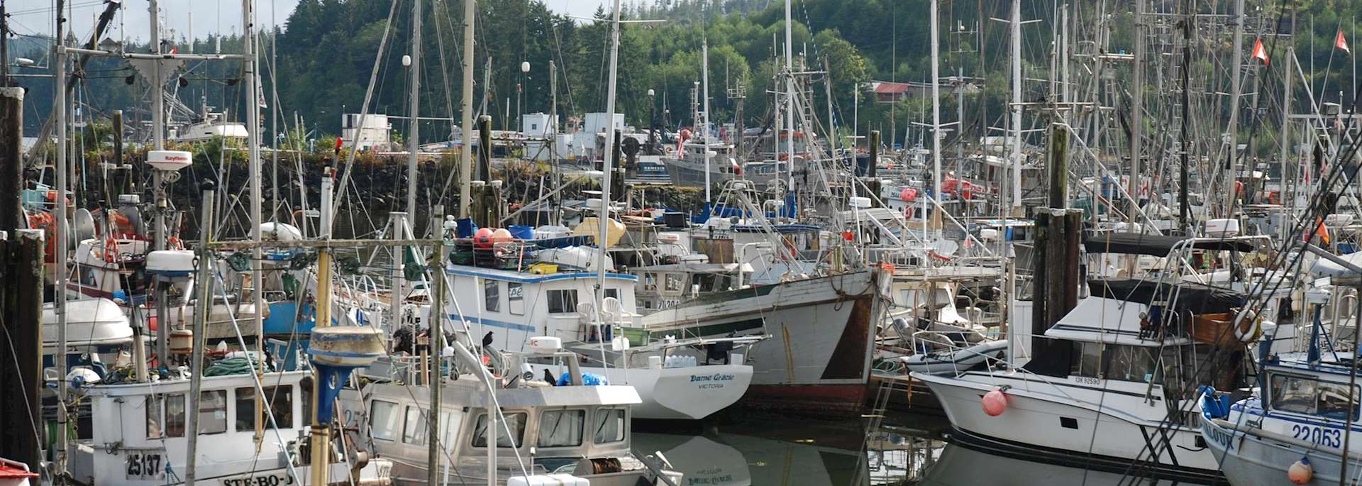 Port Hardy