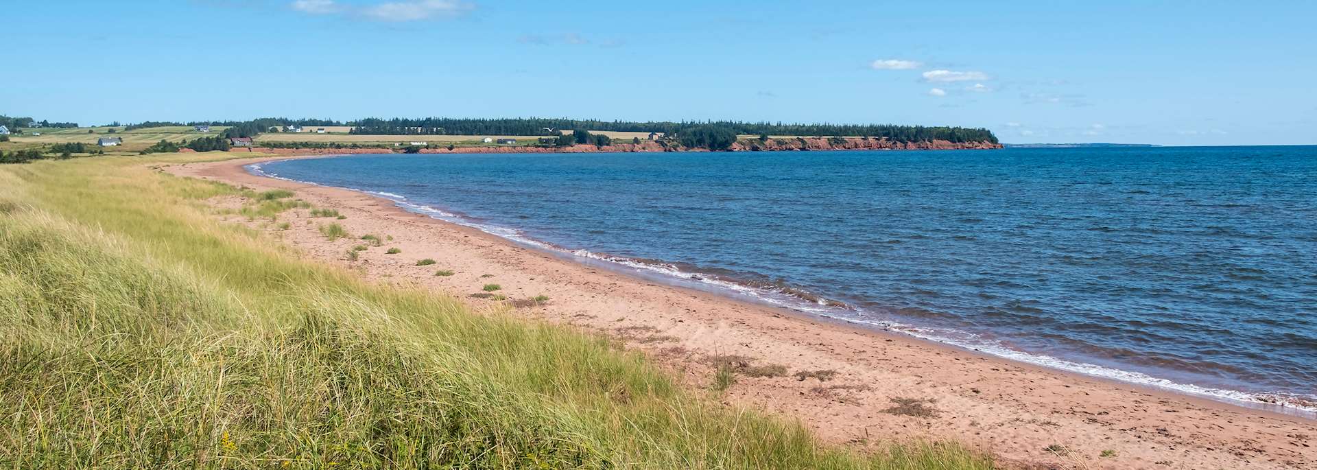 Spry Point