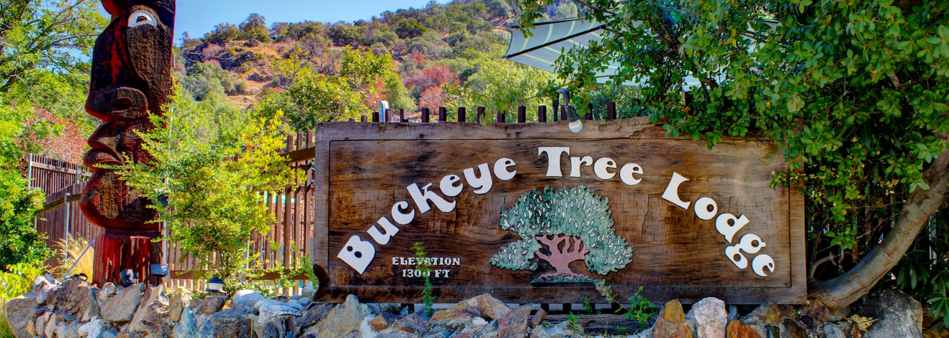 Buckeye Tree Lodge & Cabins