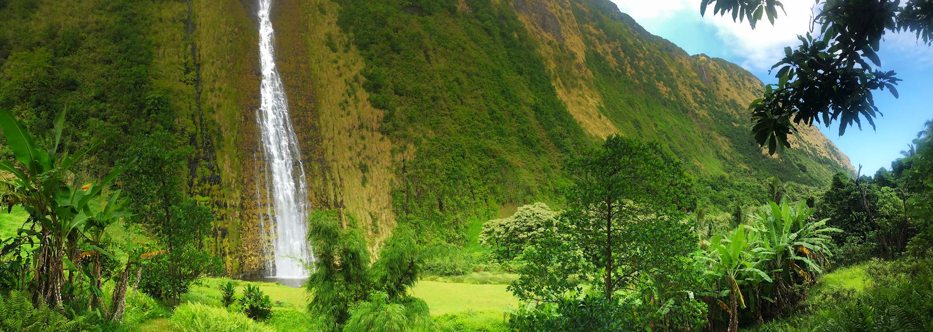 Kohala waterfall