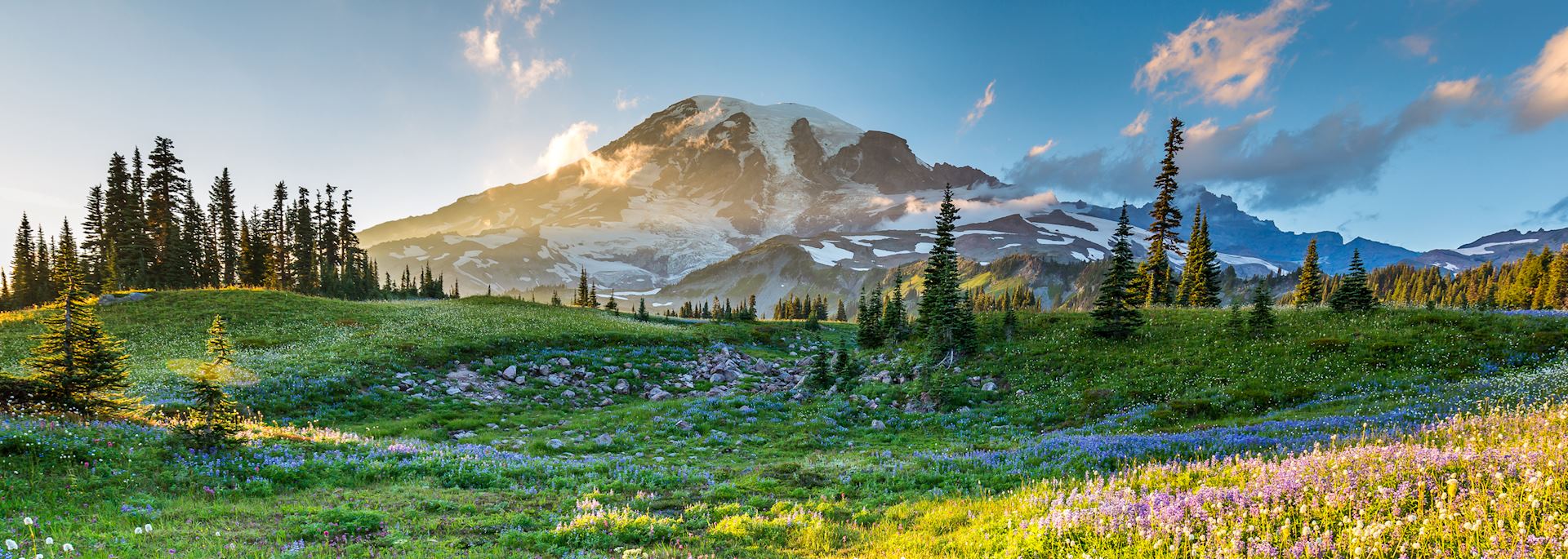 Mount Rainier National Park